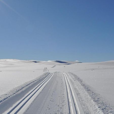 Snoya Lodge Хемседал Екстериор снимка